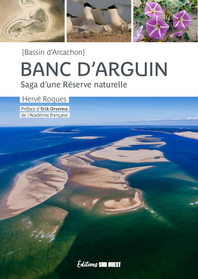 La Réserve Naturelle Nationale du Banc d’Arguin englobe l’ensemble des îlots sableux qui se forment à l’entrée du Bassin d’Arcachon, entre la pointe du Cap Ferret et le continent