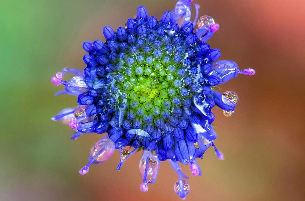 Concours photo : les résultats et les gagnants dévoilés