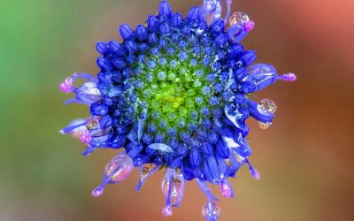 Concours photo : les résultats et les gagnants dévoilés