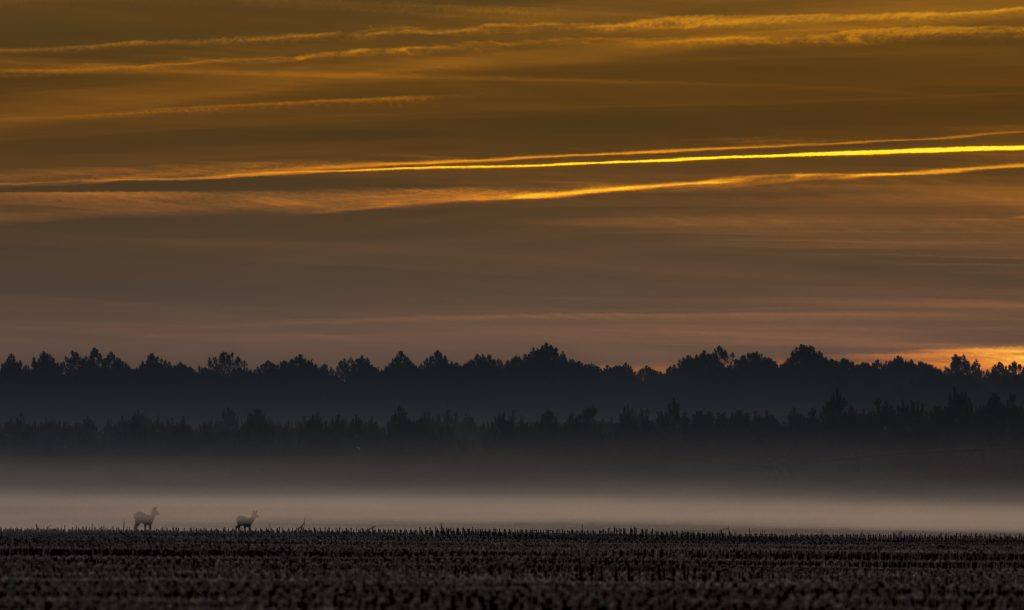 9-Alison-Paysages--1024x610