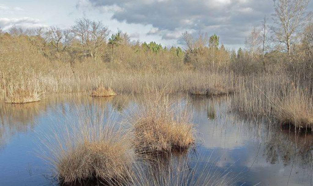 Denaix-Laurence-Paysage