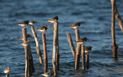 Présentation du concours photo