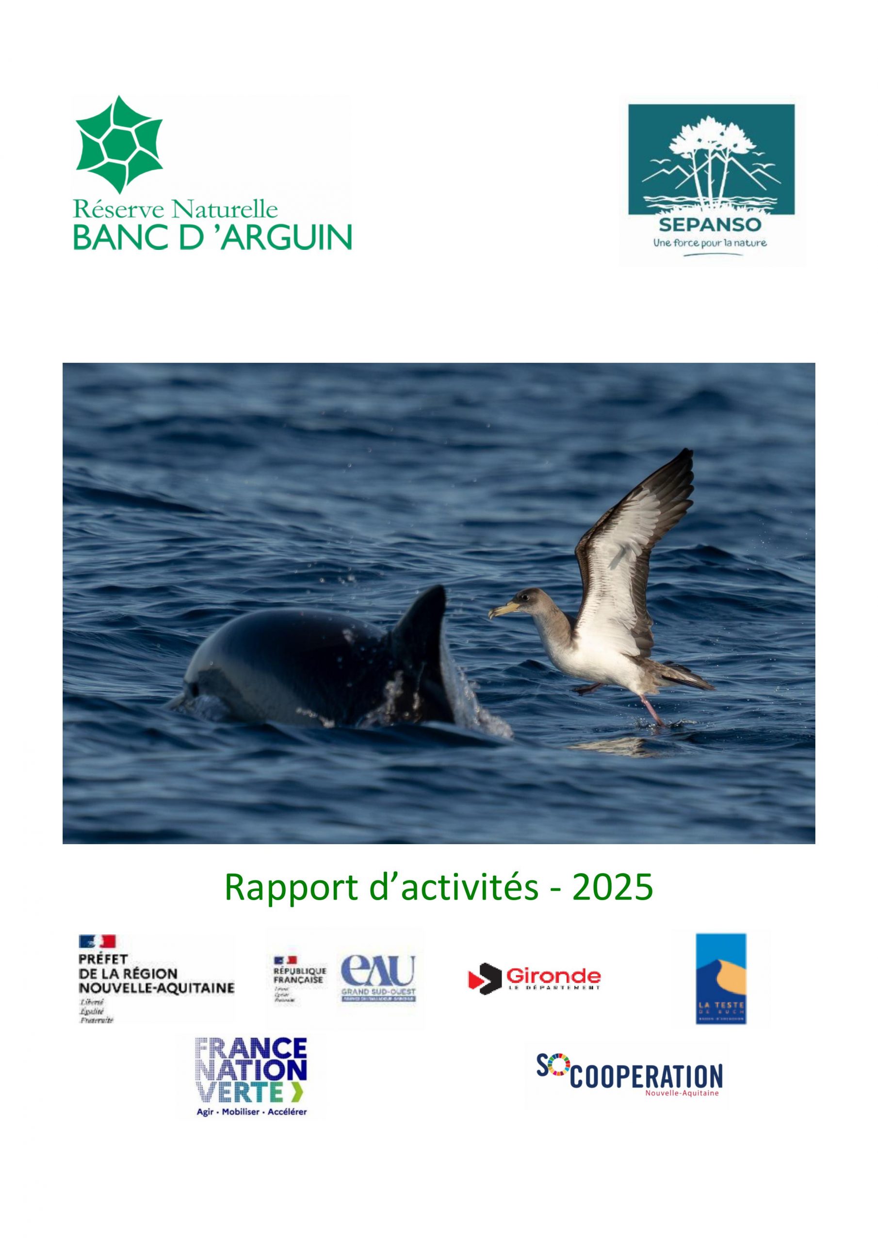 Rapport activités 2025_VF-images-0