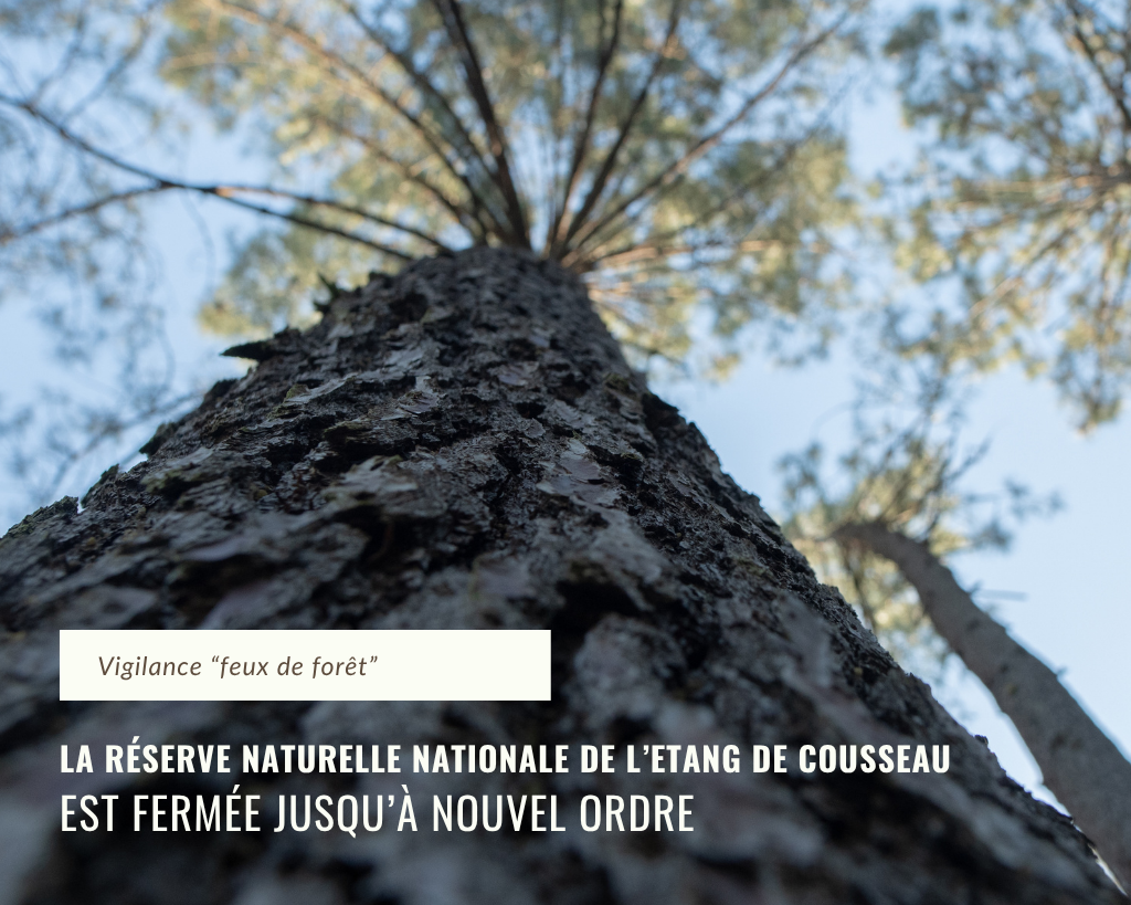 Fermeture RNN Cousseau (2)