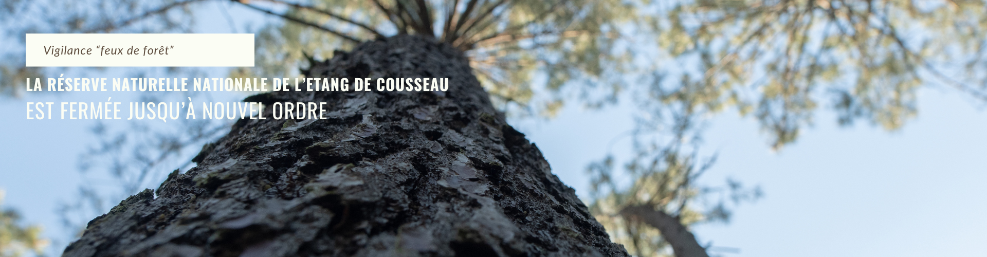 Fermeture RNN Cousseau