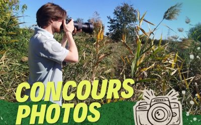 Un concours photo à la Réserve Naturelle Nationale des marais de Bruges !